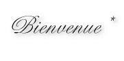 Bienvenue* 